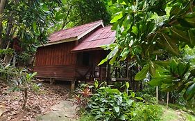 Jungle Hill Beach Bungalow